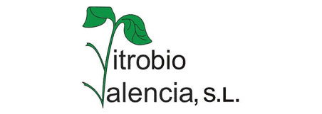 Vitrobio Valencia SL